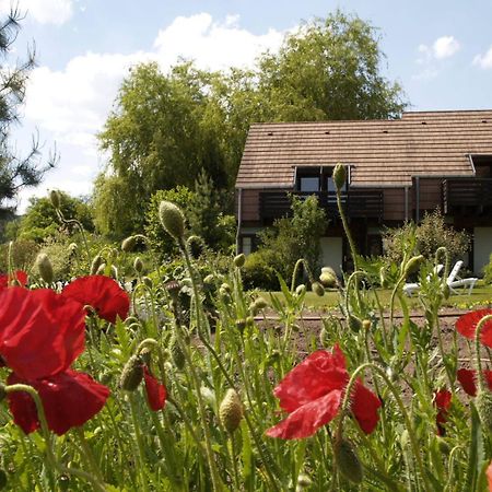 Alsace Village Obersteinbach Kültér fotó
