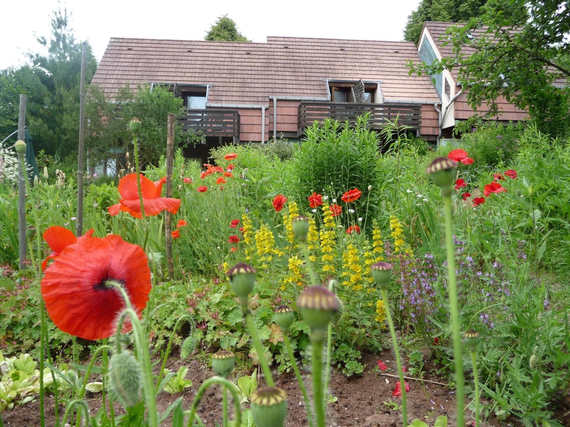 Alsace Village Obersteinbach Kültér fotó